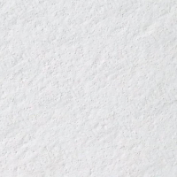Плита ARMSTRONG BioGuard Plain Tegular 24 600x600x15 