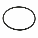 Резинка уплотнительная под муфту накидную для насосов Emaux серии SS/SD (2011104)