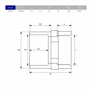 Двойной адаптер ПВХ Hidroten 1002125, муфта/втулка, BP, d50-63 мм, 2"
