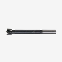 Свердло Milwaukee Forstner 12x90мм (4932363704)