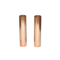 Электрод ионизации Hayward Aquascenic Cu/Ag (2 шт)